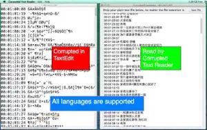 Corrupted Text Reader