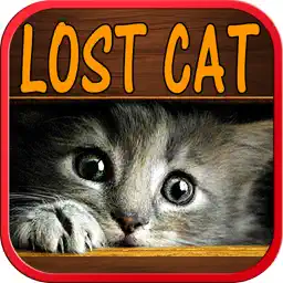 迷路的猫连续游戏的孩子 - 安吉拉宠物小猫