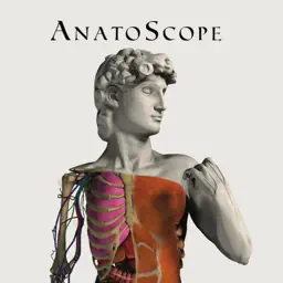 AnatoScopeAR