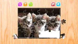 猫 拼图 拼图 游戏 动物 对于 成人
