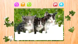 猫 谜 游戏 动物 拼图 谜题 为 成年人