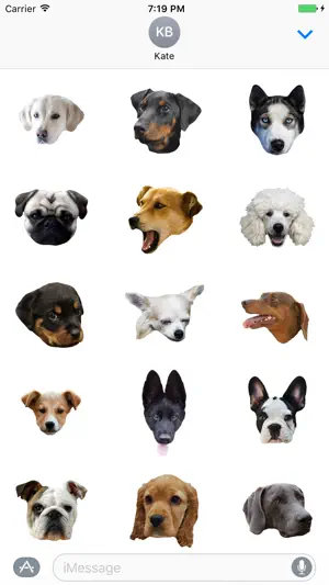 狗贴纸 - 狗脸和狗头 Dog Stickers