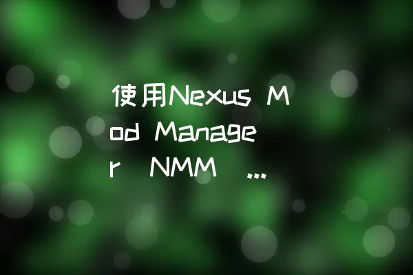 使用Nexus Mod Manager（NMM）加载上古卷轴5的mod