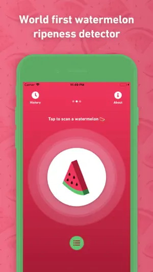 Melony: Ripeness Detector