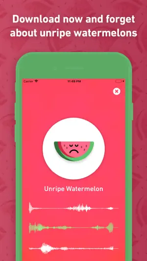 Melony: Ripeness Detector