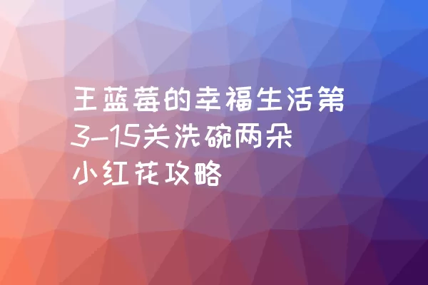 王蓝莓的幸福生活第3-15关洗碗两朵小红花攻略