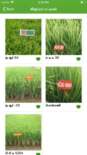 Paddy Varieties