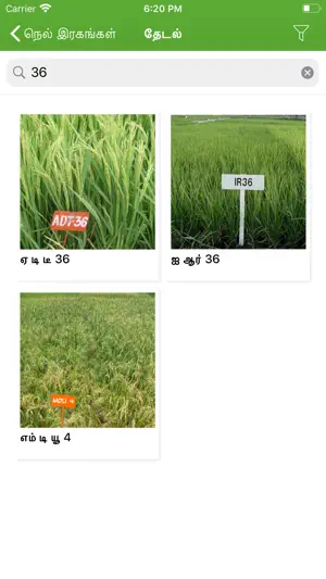 Paddy Varieties