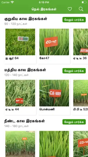 Paddy Varieties