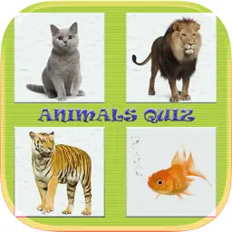 动物测验游戏世界