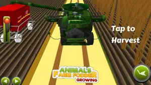 动物食品种植者: 种植和饲养家畜