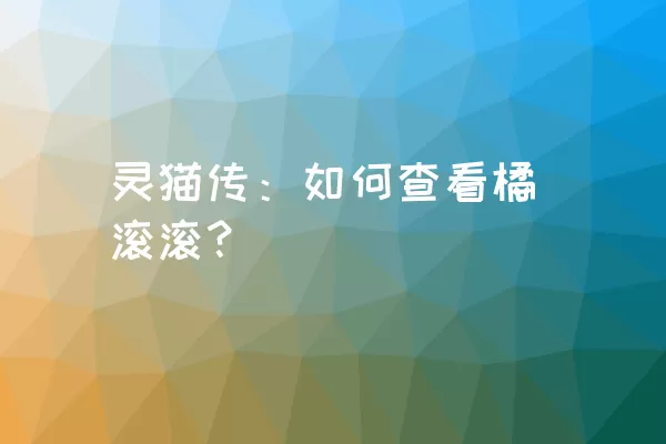 灵猫传：如何查看橘滚滚？