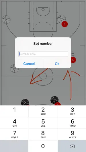 篮球战术板 - 专业版
