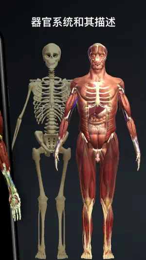 发现人体 3D： 三维立体解剖图谱