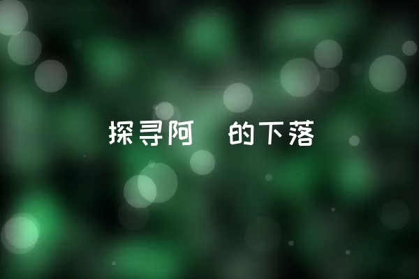  探寻阿瑠的下落