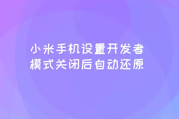 小米手机设置开发者模式关闭后自动还原