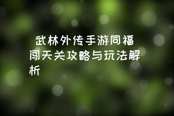  武林外传手游同福闯天关攻略与玩法解析