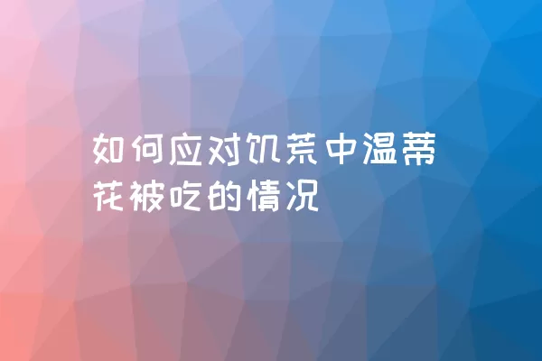 如何应对饥荒中温蒂花被吃的情况