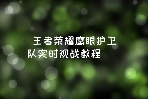  王者荣耀鹰眼护卫队实时观战教程